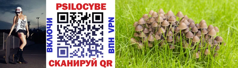 Галлюциногенные грибы Psilocybe  даркнет сайт  Никольское 
